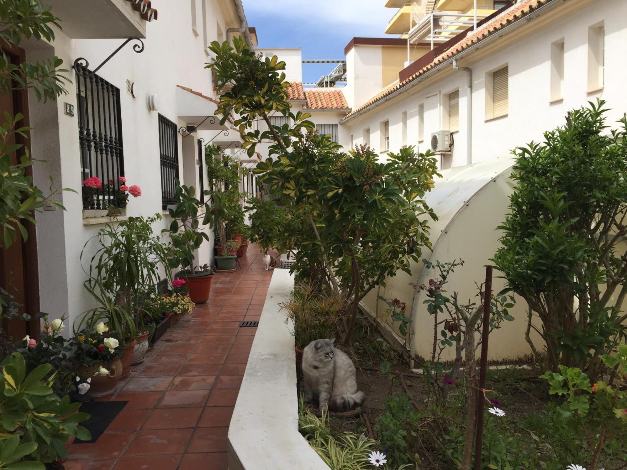 El Cortijuelo. Magnificent Triplex Terraced House With Rooftop Of 18M2, Overlooking The Sea. Parking Torremolinos Exterior photo